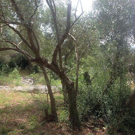 Kornić Lili Apartments, Sv Dunata 18 מראה חיצוני תמונה