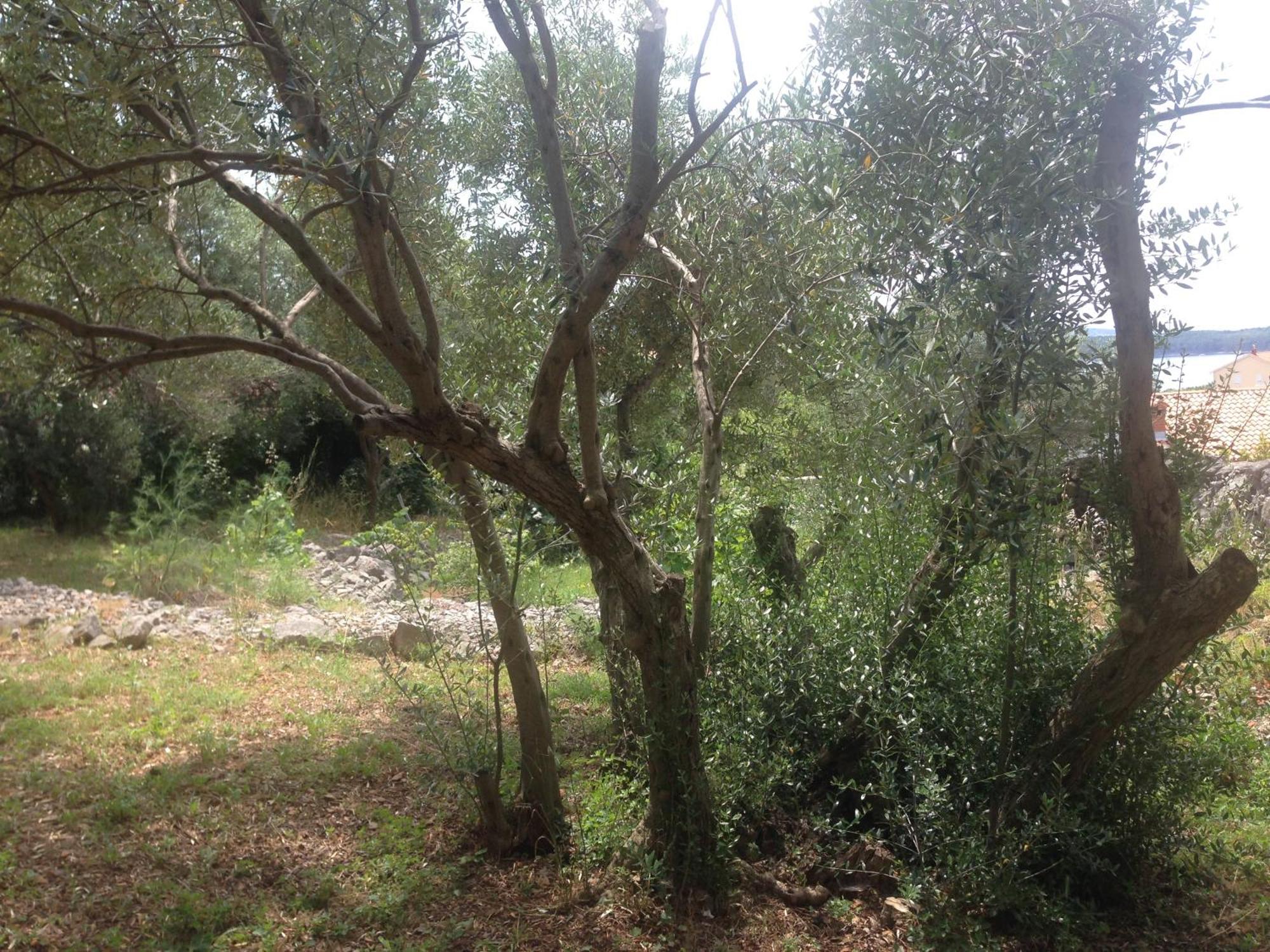 Kornić Lili Apartments, Sv Dunata 18 מראה חיצוני תמונה